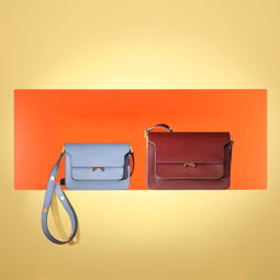 Marni Trunk新颜 恣意蔓延的色彩魅力与乐器箱包的艺术融合